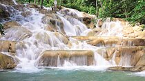 Private Dunn's River Falls from Montego Bay