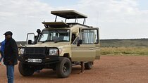 3-Day Maasai Mara Sharing Safari in a 4x4 Land Cruiser Jeep