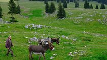 Private Full-Day Hiking Tour in Piatra Craiului National Park