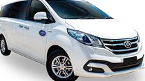 Luxury Van, Private Transfer, Port Douglas - Cairns