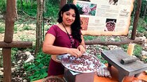 Tulum: Chocolate & Honey Sanctuary Experience with Cenote