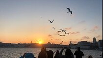 Bosphorus Explorer: 3-Hour Cruise with Asian Side Visit