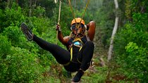 Maya Adrenaline | Atv + Cenote & 1-km Zipline (+4)