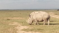 2 Days Safari to Ol Pejeta Conservancy - Luxury.