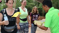 Angkor Wat and Small Circuit Temples by Private Transport 