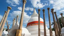 Sri Lanka Private Tour 8 days-Driver/vehicle/accommodation H/B