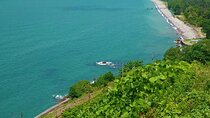 8 Days/7 Nights Tbilisi and Batumi Tour in Georgia All-inclusive