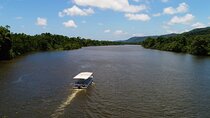 Ultimate Daintree Rainforest Wildlife Experience Cruise