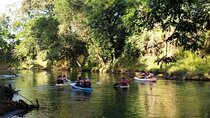 Wildlife Safari Experience by Kayak