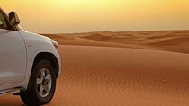 Dubai Red Dunes Morning Safari With Camel Ride