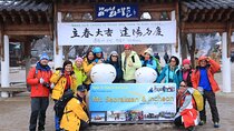 Nami island, Prtit France and Garden of Morning Calm