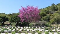 2-Day Gallipoli and Troy Tour from Istanbul and return