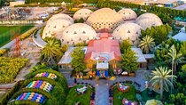 Dubai: Skip-The-Line Ticket to Butterfly Garden