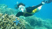 Combination Tour: Ayung river rafting With Blue Lagoon Snorkeling