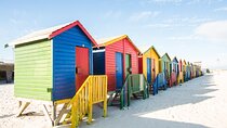 The Road Trip (Cape Point and Penguins)