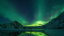 Cozy Northern Lights Tour with Icelandic Treats and Liquor