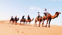 fes desert tour 2 days