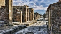 Pompeii Half Day from Naples