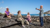 Private Customizable Grand Circle Island Tour of Oahu