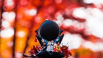 Small-Group Photography Tour in Takayama
