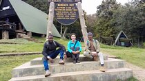 Kilimanjaro National Park Day Trip