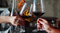 Private Tour: Montalcino Wine Tasting Experience