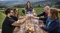Premium Tasting | Quinta de Santa Cristina Vinho Verde