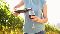 Troodos Mountains Vino Venture: All Inclusive Full Day Wine Tour