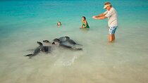 Galapagos- Santa Cruz Explorer 4 days 