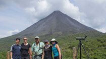 3-in-1 Arenal Hanging Bridges, La Fortuna Waterfall and Volcano Hike