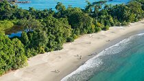 Manuel Antonio National Park full Wildlife 