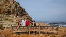 Cape of Good Hope Private Tour to Cape Point & Penguins From Cape Town