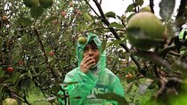 1 Day - Malang Instagramable Tour // 08:00 - 18:00