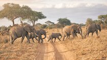 6-days Safari in Northern Tanzania
