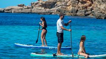 Sup board, Rental