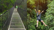 Congo Combo: Thrilling Hanging Bridges and Zipline Adventure