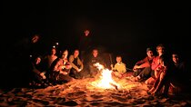 Liwa Over Night Safari