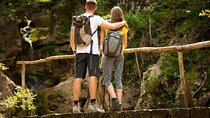 Hiking Lovers (Hanging Bridges + La Fortuna Waterfall + Volcano Hike)