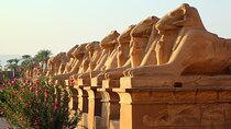 Luxor Private Day Tour to the East and West Banks