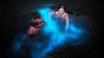 Luminous Lagoon "Glistening Waters" Tour from Falmouth