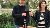 Wine Tasting by CarusVini in San Casciano in val di Pesa