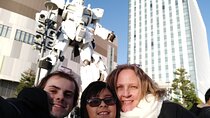 Tokyo Otaku Tour with a Local: 100% Personalized & Private