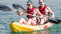 Kayak Rental(single or double) for 1 hour in La Mer