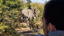Kruger National Park Half-Day Game Drive
