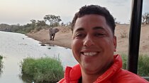 Kruger National Park Private Guided Morning Game Drive