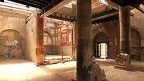 Vesuvius and Herculaneum Day Trip from Naples with skip the line