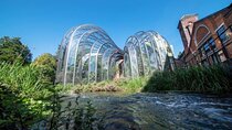Bombay Sapphire Gin Distillery Tour and Cocktail