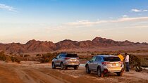 Sunset Oasis Desert Experience in El Gouna and Hurghada