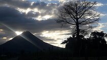 Arenal Volcano And La Fortuna Waterfall Tour