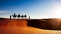 2 Days Tour To Zagora & Daraa Valley Night in The Tent